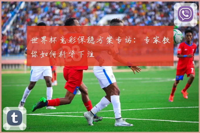世界杯竞彩保稳方案专访：专家教你如何科学下注