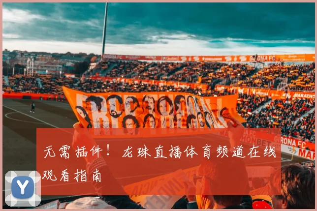 无需插件!龙珠直播体育频道在线观看指南